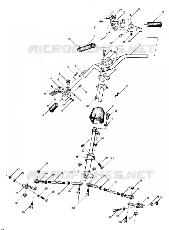 TIMONE LTR (4914141414011A)