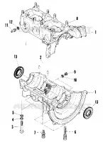 CARTER (SS) (4910951095020A)