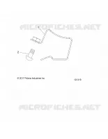 ENGINE, CARBURANTE RAIL CLAMP (FROM 2/3/2017)
