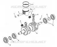 PISTONEEE   ALBERO MOTORE 600 RMK 0980958 AND EUROPEAN 600 RMK E980958 (4944634463C009)