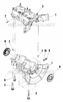 CARTER (4909550955015A)