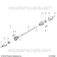 DRIVE TRAIN, ANTERIORE ALBERO