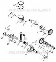 PISTONEEE   ALBERO MOTORE SPORT 400L W98BA38C (4947234723C013)