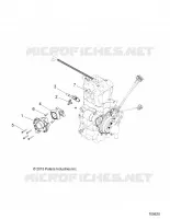 ENGINE, CORPO FARFALLATO AND FUEL RAIL