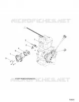 ENGINE, CORPO FARFALLATO AND FUEL RAIL