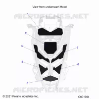 CAPPUCCIO FOAM/SEAL