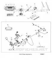 ELETTRICO, HARNESS