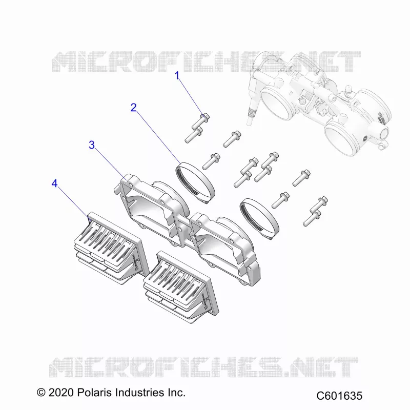 ENGINE, REED VALVE AND CORPO FARFALLATO ADAPTOR
