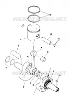 ALBERO MOTORE AND PISTON ASSEMBLY (4913511351039A)