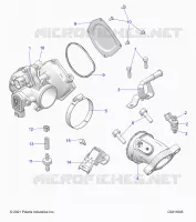 ENGINE, CORPO FARFALLATO AND FUEL RAIL