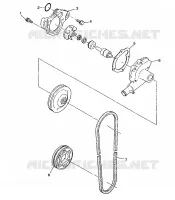 POMPA DELL'ACQUA 500 INDY 0982764(A)(B) and EUROPEAN 500 INDY E982764A (4942104210C010)