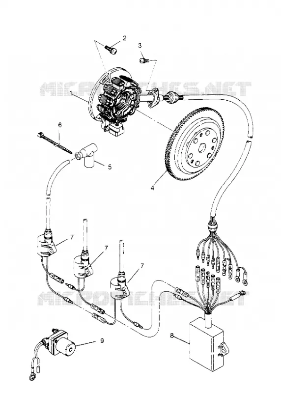 MAGNETO ASSEMBLY  SL 650 B954058 (4930483048C004)