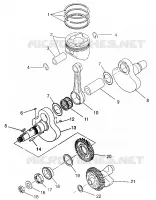ALBERO MOTORE AND PISTONEE MAGNUM 4X4 W968144 AND SWEDISH MAGNUM 4X4 S968144 (4936053605D002)