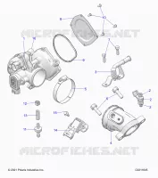ENGINE, CORPO FARFALLATO AND FUEL RAIL