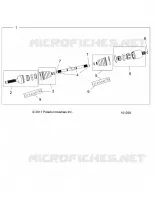 DRIVE TRAIN, ANTERIORE ALBERO