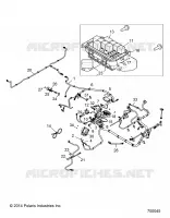 ELETTRICO, HARNESS