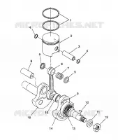 PISTONEEE   ALBERO MOTORE STARLITE/0933427 (4922972297032A)