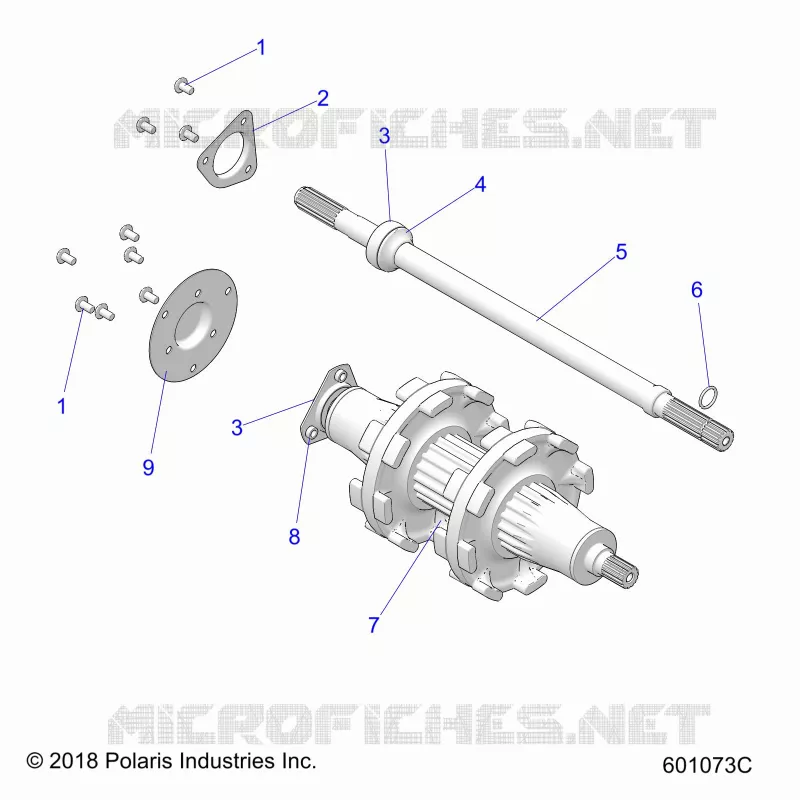 DRIVE TRAIN, JACKSHAFT AND ALBERO DI TRASMISSIONE
