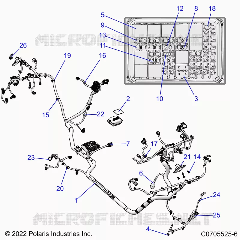 ELETTRICO, WIRE HARNESS