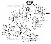 TIMONE (4909540954006A)