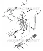 POMPA DELL'OLIO XLT LTD 0973756 and EUROPEAN XLT LTD E973756 (4937793779C010)