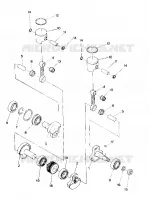 PISTONE AND ALBERO MOTORE SPORT AND SPORT GT (4916821682031A)