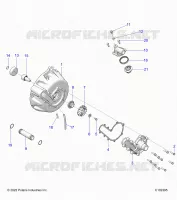 ENGINE, SISTEMA DI RAFFREDDAMENTO AND WATER PUMP