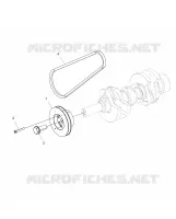 ENGINE, DRIVE PULEGGIA AND DRIVE BELT