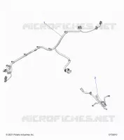 ELETTRICO, WIRE HARNESS, PERIPHERAL