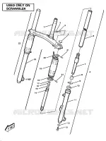 FORCELLA ANTERIORE (4911991199020A)