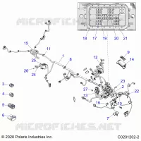 ELETTRICO, HARNESS