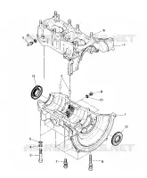CARTER  LTR (4914141414033A)