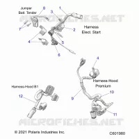 ELETTRICO, WIRE HARNESS, HOOD, ELEC. START