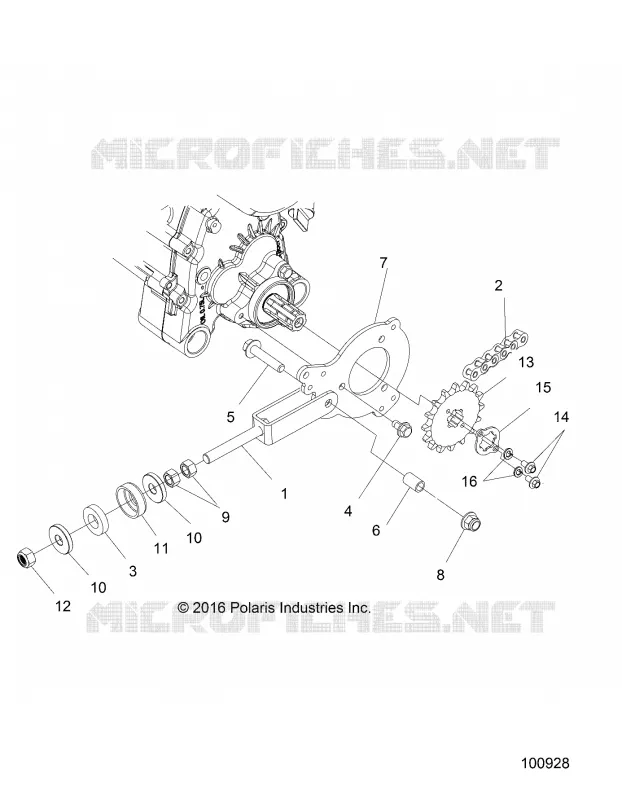 DRIVE TRAIN, TENDICATENA AND SPROCKET