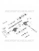 DRIVE TRAIN, PRINCIPALE SCATOLA INGRANAGGI INTERNALS