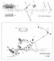 ELETTRICO, HARNESS