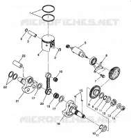 PISTONEEE   ALBERO MOTORE 6X6 350L W938739 (4924062406042A)