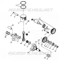 PISTONEEE   ALBERO MOTORE XPLORER 400L W98CC38C (4945414541C012)