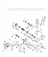 SCATOLA DEGLI INGRANAGGI (Internal Components)