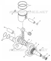 ALBERO MOTORE AND PISTONEE XPLORER 300 W97CC28C (4939813981C012)