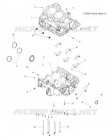 CARTER