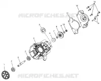 POMPA DELL'ACQUA 700 XC 0971766 (4941814181C008)