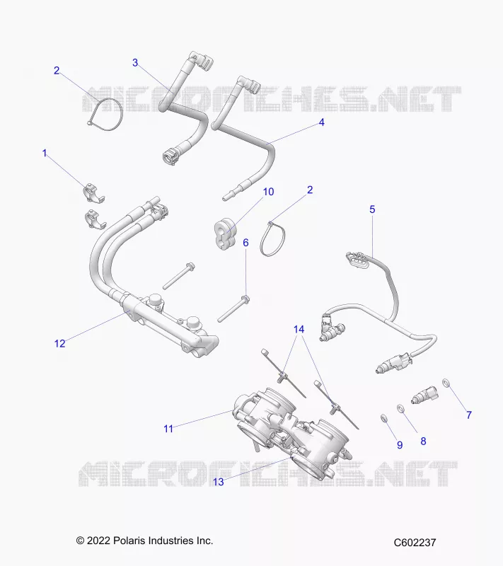 SISTEMA DI ALIMENTAZIONE CARBURANTE, RAIL, LINES AND THROTTLE BODY