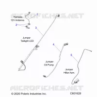 ELETTRICO, JUMPER WIRES