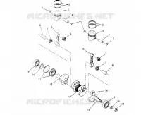 PISTONEEE   ALBERO MOTORE LITE 0953433 AND LITE DELUXE 0953431 (4928902890C013)