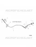 DRIVE TRAIN, SELETTORE DI MARCIA