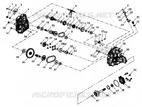 SCATOLA DEGLI INGRANAGGI