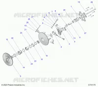 TRASMISSIONE, PRIMARY CLUTCH