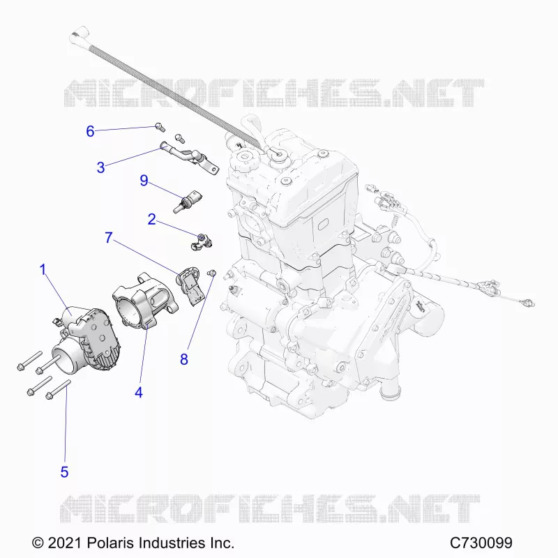 ENGINE, CORPO FARFALLATO AND FUEL RAIL