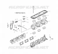 corpo farfallato